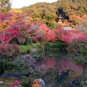 Eikan-do (Kyoto), Vue sur la pagode et le jardin en automne