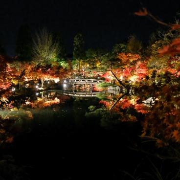Eikan-do (Kyoto), illuminations nocturnes en période de Koyo