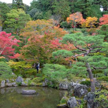Ginkaku-ji, Vue sur les érables rouges en automne