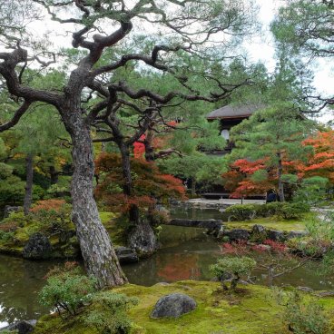 Ginkaku-ji (Kyoto), pavillon Kannon-den Ginkaku et cône Kogetsudai en automne