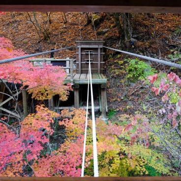 Vallée d'Iya (Shikoku), Pont du singe sauvage et érables momiji
