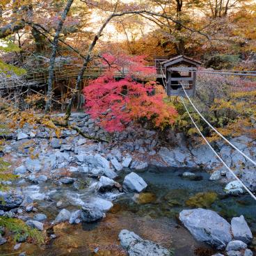 Vallée d'Iya (Shikoku), Pont du singe sauvage et érables momiji 2