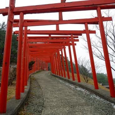 Takayama Inari-jinja (Aomori), à l'intérieur du tunnel Senbon-Torii 