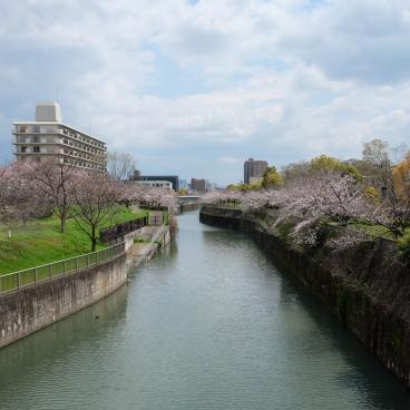Osaka Gokoku-jinja, vue sur la rivière Sumiyoshi à côté du sanctuaire
