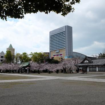 Osaka Gokoku-jinja, enceinte du sanctuaire au printemps