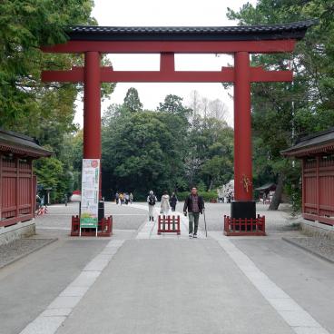 Hikawa-jinja (Saitama), porte San no Torii à l'entrée du sanctuaire