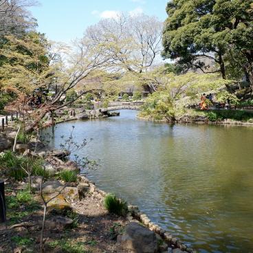 Jardin de Shin-Edogawa (Tokyo), sentier autour du plan d'eau