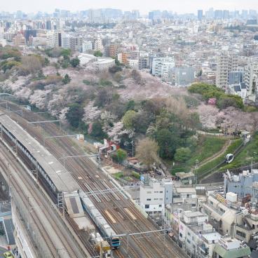 Oji (Tokyo), vue sur la gare et le parc Asukayama depuis l'observatoire Hokutopia