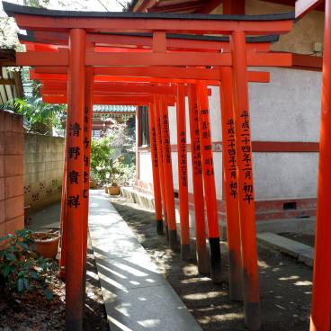 Oji (Tokyo), petit tunnel de Torii au sanctuaire Oji Inari-jinja 