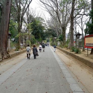 Omiya (Saitama), allée Hikawa Sando avec reproduction d'un rouleau Emaki à l'entrée du sanctuaire Hikawa-jinja 2