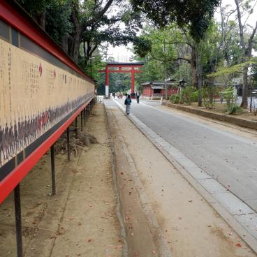 Omiya (Saitama), allée Hikawa Sando et porte San no Torii à l'entrée sanctuaire Hikawa-jinja