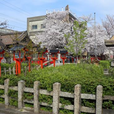 Rokusonno-jinja (Kyoto), vue vers le pont Taiko-bashi au printemps
