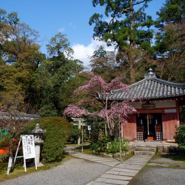 Bishamon-do (Kyoto), pavillon Kyozo du temple