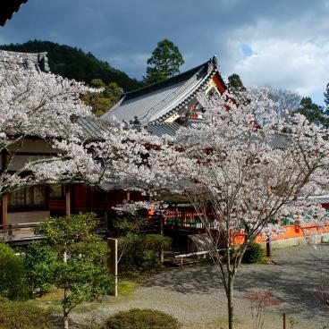 Bishamon-do (Kyoto), pavillon Reiden et enceinte sacrée principale au printemps