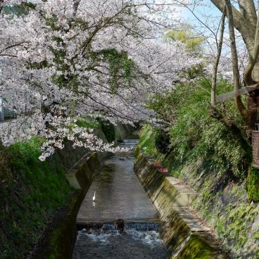 Canal Yamashina du Lac Biwa (Kyoto), rivière Ansho-ji