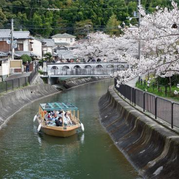 Canal Yamashina du Lac Biwa (Kyoto), croisière sur le canal et pont Anshu-bashi au printemps