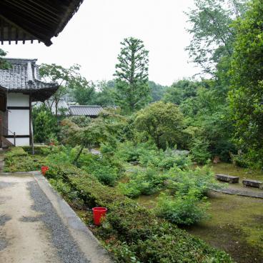 Joju-ji (Kyoto), vue sur la végétation et les pavillons du temple