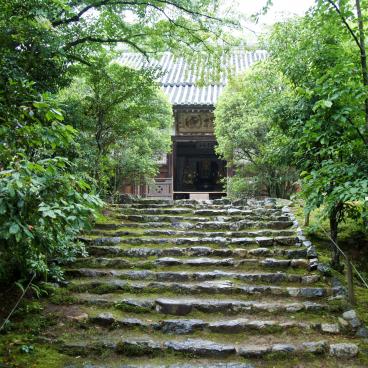 Joju-ji (Kyoto), approche vers le pavillon principal Hondo via un escalier en pierre