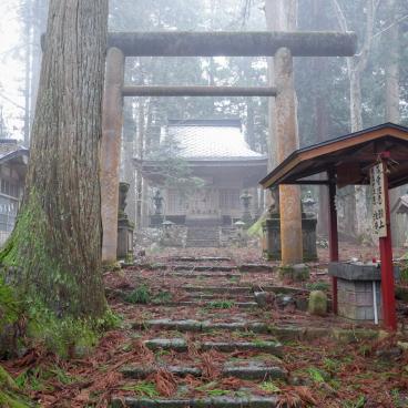 Kinpo-jinja (Akita), vue de l'enceinte shinto dans la forêt de cèdres