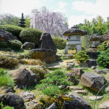 Parc Hanamiyama (Fukushima), jardin japonais pendant la floraison des Sakura 2