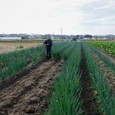 Uosaburo (Fushimi), champs agricole de la ferme Yamada non loin