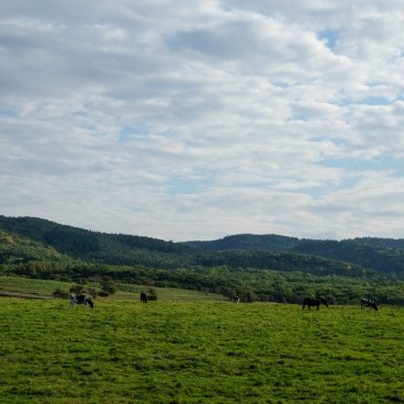 Abashiri (Hokkaido), autour du cap Notoro