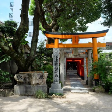 Kushida-jinja (Fukuoka), tunnel de Torii du sanctuaire Inari