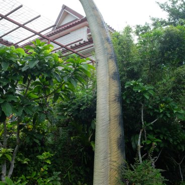 Dino Park (Nago, Okinawa), brachiosaure dans le parc