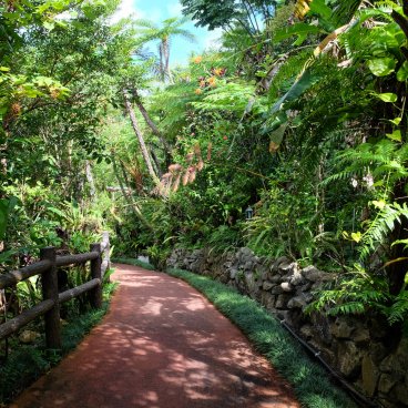 Dino Park (Nago, Okinawa), allée du parc dans la forêt subtropicale de Yanbaru