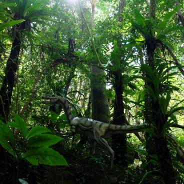 Dino Park (Nago, Okinawa), maquettes de dinosaure dans la forêt de Yanbaru