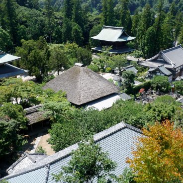 Engaku-ji (Kamakura), vue sur les toits des pavillons du temple depuis le cimetière