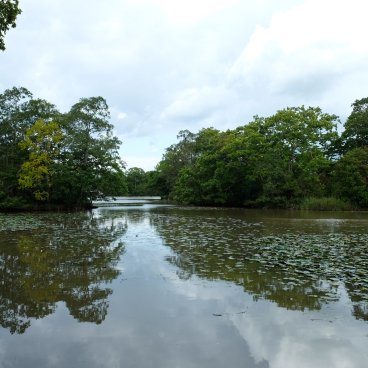 Parc d'Onuma (Hokkaido), vue sur le lac Onuma et ses îlots