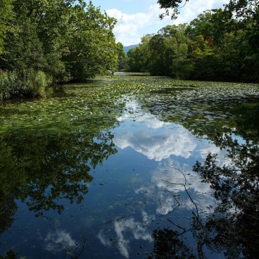 Parc d'Onuma (Hokkaido), vue sur le lac Onuma et les nénuphars en fin d'été