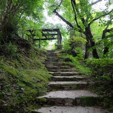 Niiyama-jinja (Kanzaki, Saga), escalier sous les érables verts en été