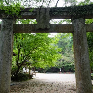 Niiyama-jinja (Kanzaki, Saga), porte Torii en pierre du sanctuaire