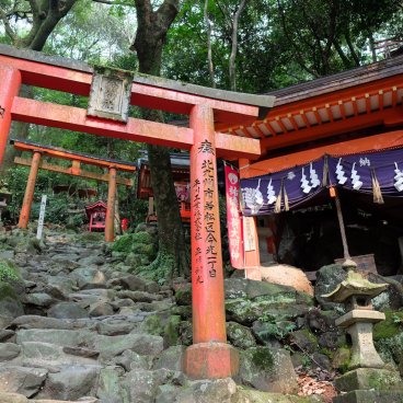 Yutoku Inari-jinja (Kashima, Saga), portiques Torii rouges dans la partie Okunoin du sanctuaire 2
