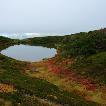 Daisetsuzan (Hokkaido), vue sur le marais de Mangetsu à l'automne