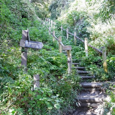 Randonnée Daibutsu (Kamakura), escalier dans la forêt des collines de la ville