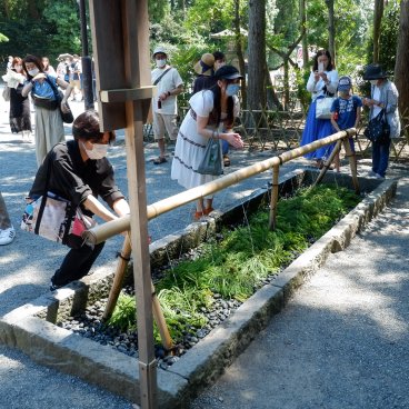 Tsurugaoka Hachiman-gu (Kamakura), visiteurs autour du bassin pour les ablutions Chozuya en période de Covid