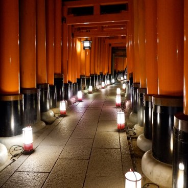 Fushimi Inari Taisha à Kyoto, Couloir de torii éclairé par des lanternes