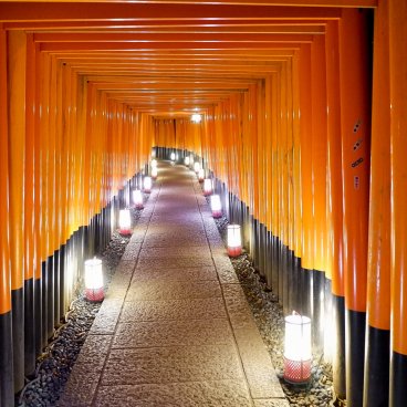 Fushimi Inari Taisha à Kyoto, Couloir de torii éclairé par des lanternes 2