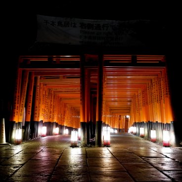 Fushimi Inari Taisha à Kyoto, Couloir de torii éclairé par des lanternes 4