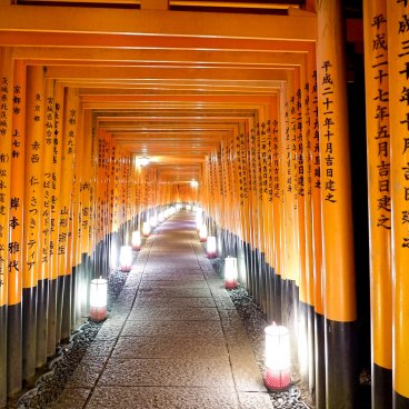 Fushimi Inari Taisha à Kyoto, Couloir de torii éclairé par des lanternes 5