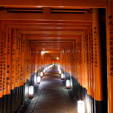 Fushimi Inari Taisha à Kyoto, Couloir de torii éclairé par des lanternes 6