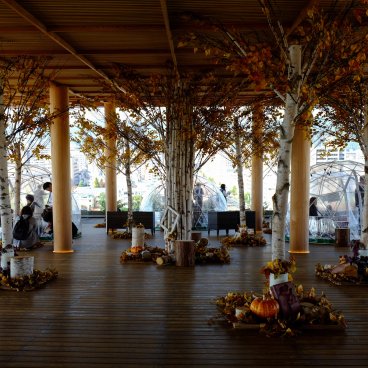 Hiroshima Orizuru Tower, terrasse d'observation décorée à l'automne