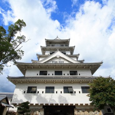 Château d'Imabari (Shikoku), donjon Tenshukaku
