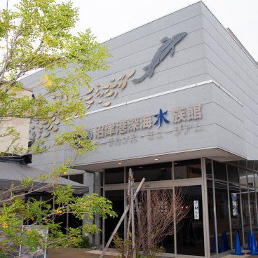 Numazu (péninsule d'Izu), aquarium Numazu Deep Sea Aquarium