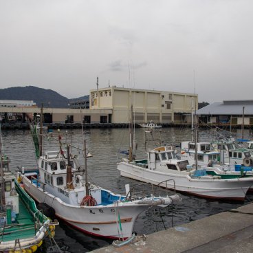 Numazu (péninsule d'Izu), bateaux de pêche au port