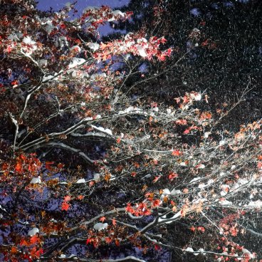 Hirosaki (Aomori), vue nocturne sur les érables et la neige dans le parc du château