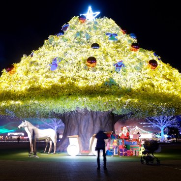 Tokyo Mega Illumination (Shinagawa), arbre géant illuminé de la forêt Aurora